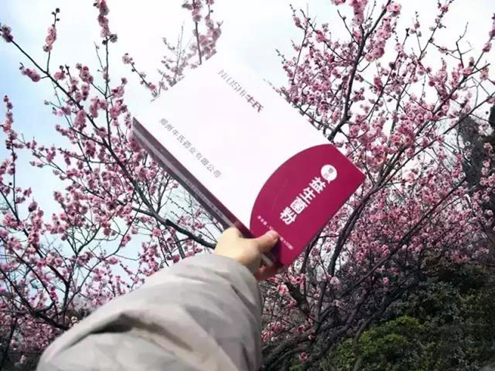 1503461420865998.jpg 微信图片_20170823104456.jpg